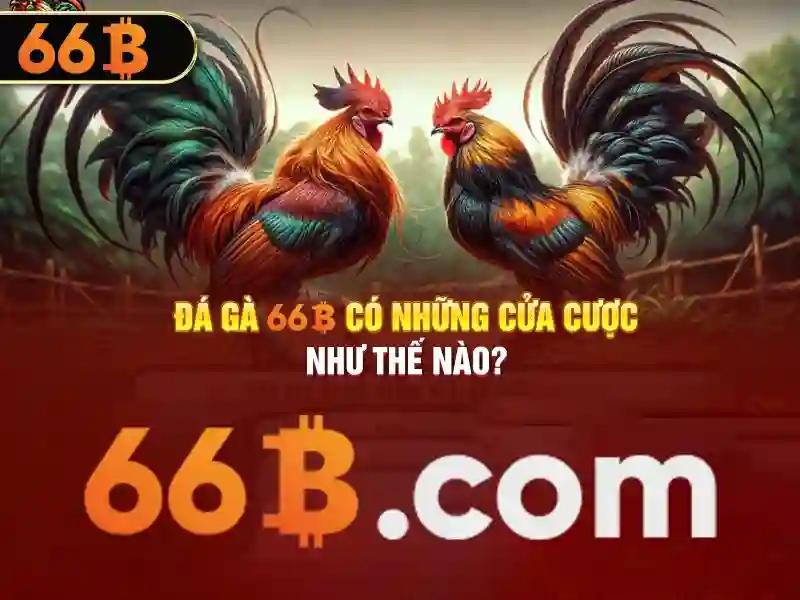 66b: một khái niệm và ứng dụng