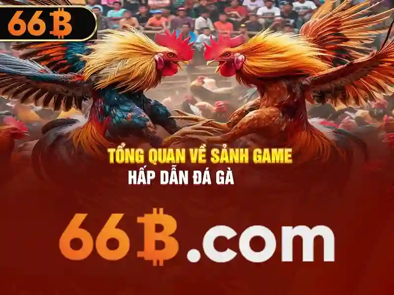 Hỗ trợ khách hàng 66b