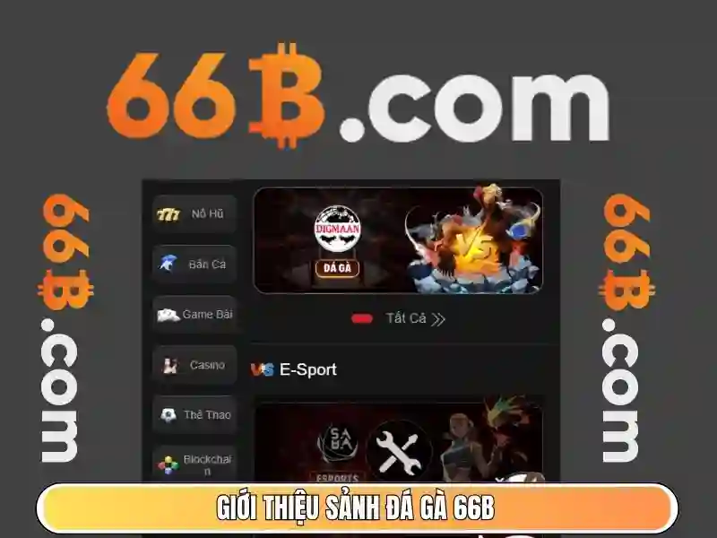 66B: Khái niệm, công nghệ và ứng dụng