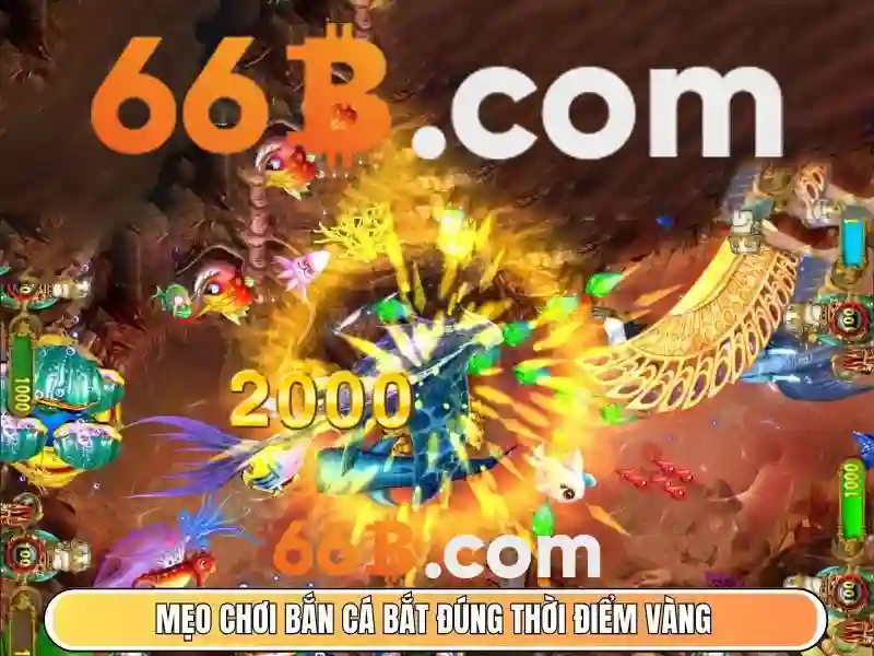 Giao diện tai app của 66b trên màn hình điện thoại