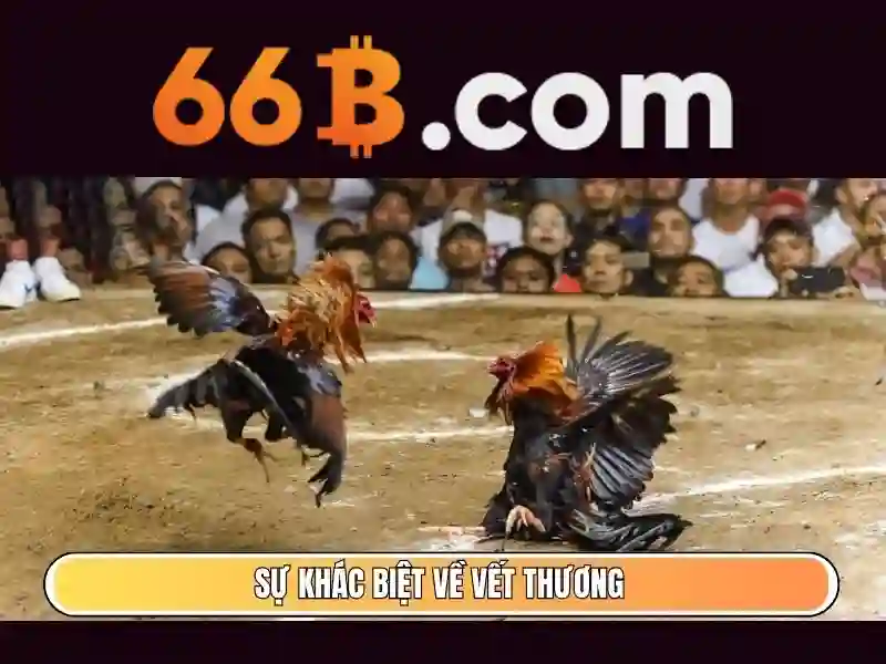 66b: một phân tích tổng quan