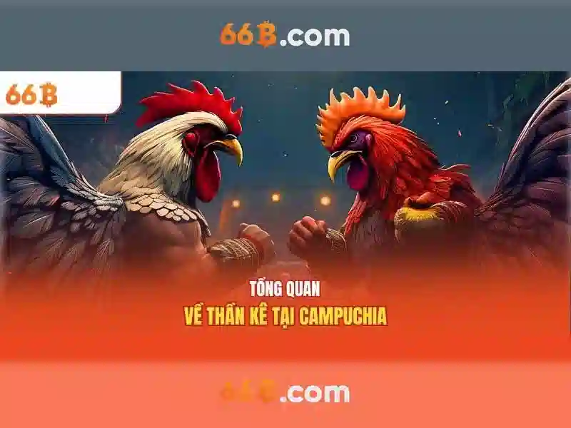 66B: Mô hình ngôn ngữ kích thước lớn và hành trình của nó