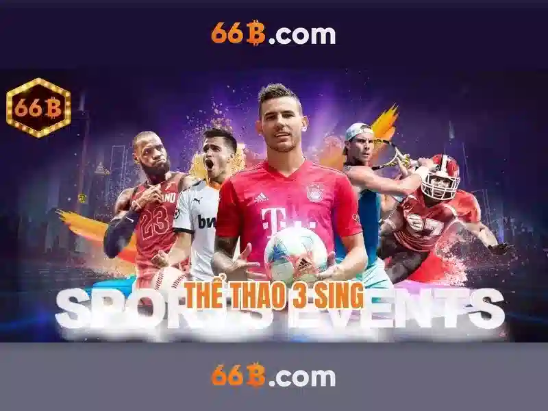 66b: Khái quát về kích thước và ứng dụng
