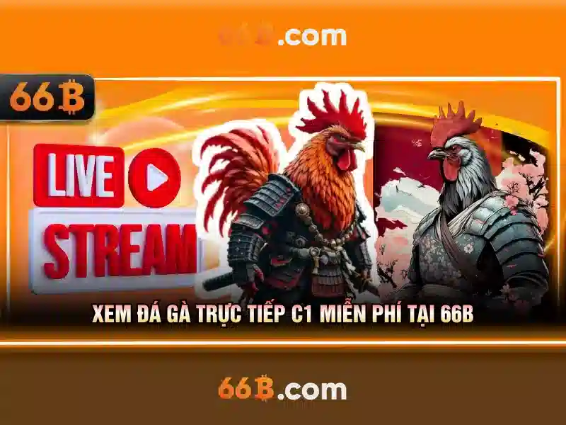 66b: một khái niệm và hành trình