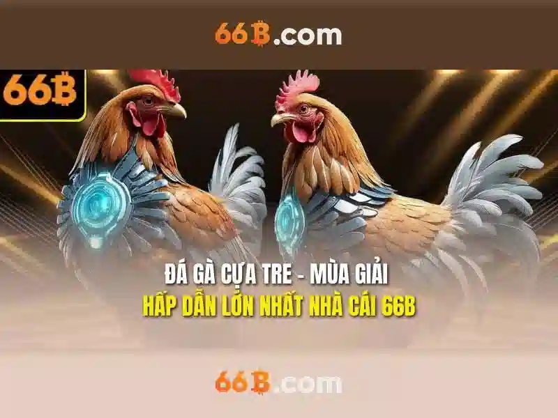 66b: khái niệm, ứng dụng và tương lai