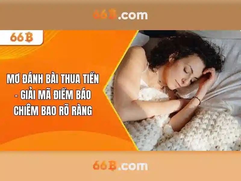 Mô hình 66b: Đặc điểm và ứng dụng