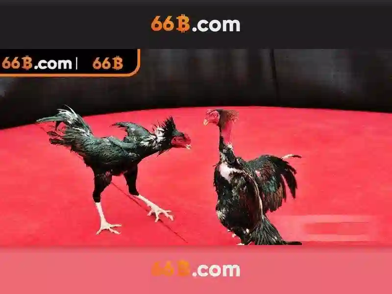 66B: Mô hình ngôn ngữ có khoảng 66 tỷ tham số