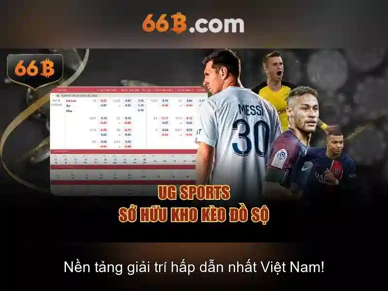 66b: tổng quan về một kích thước mô hình và ứng dụng của nó