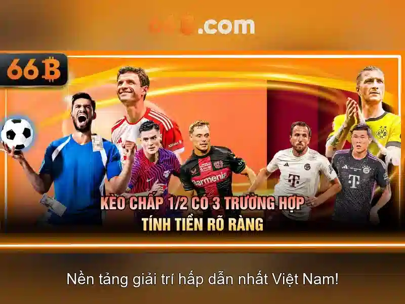66b: khái niệm, ứng dụng và tương lai
