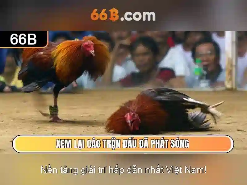 66B: Khái niệm, kích thước và ứng dụng