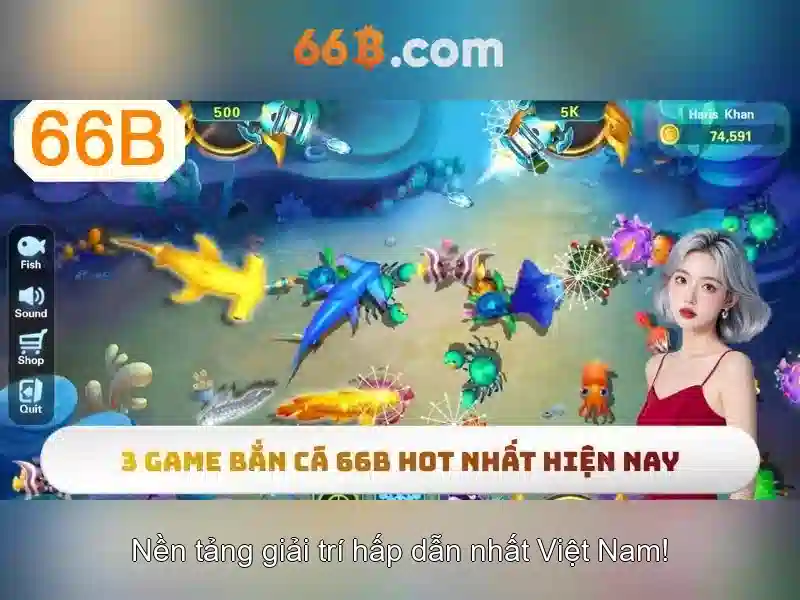 66b: Khái niệm và ứng dụng