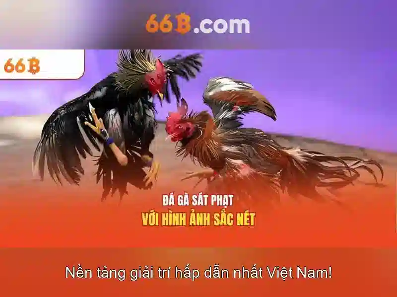 66B: Mô hình ngôn ngữ 66 tỷ tham số và hành trình trí tuệ nhân tạo