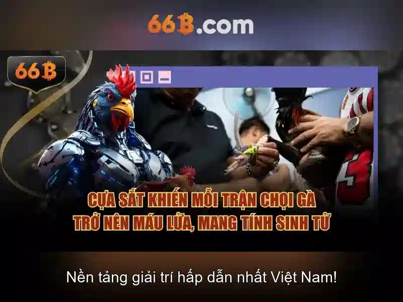 Khám phá 66b: một mã số đầy bí ẩn
