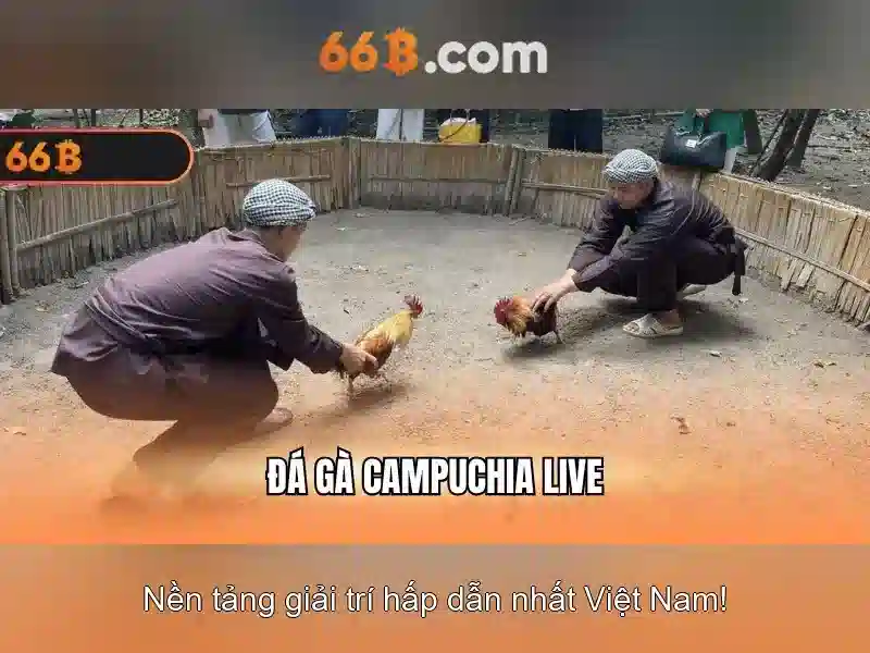 66B: mô hình ngôn ngữ 66 tỷ tham số