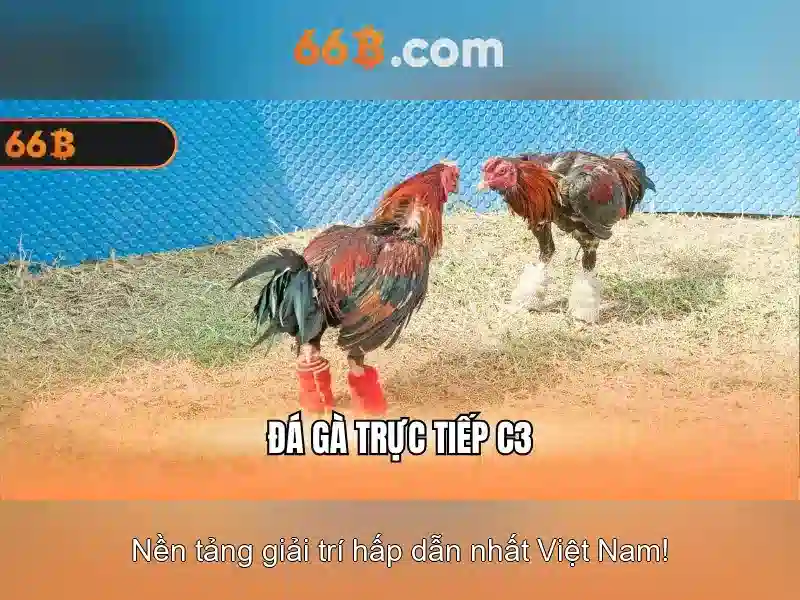66b: Khái niệm, ứng dụng và tương lai