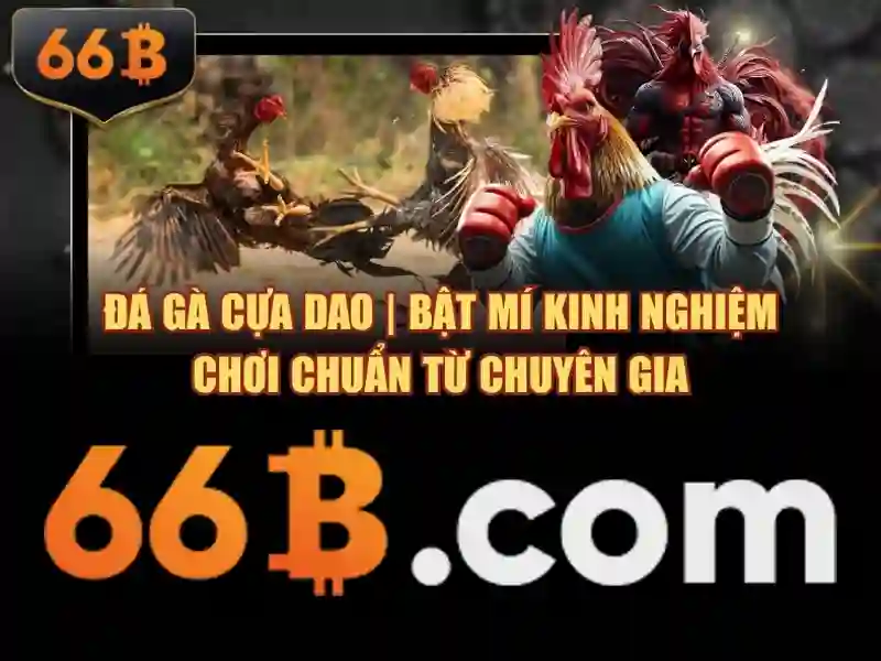 Ảnh minh họa về 66b và ve chung toi