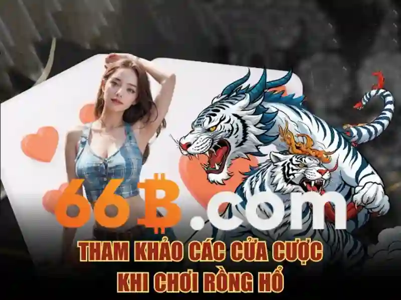 66b: khái niệm, nguồn gốc và ứng dụng