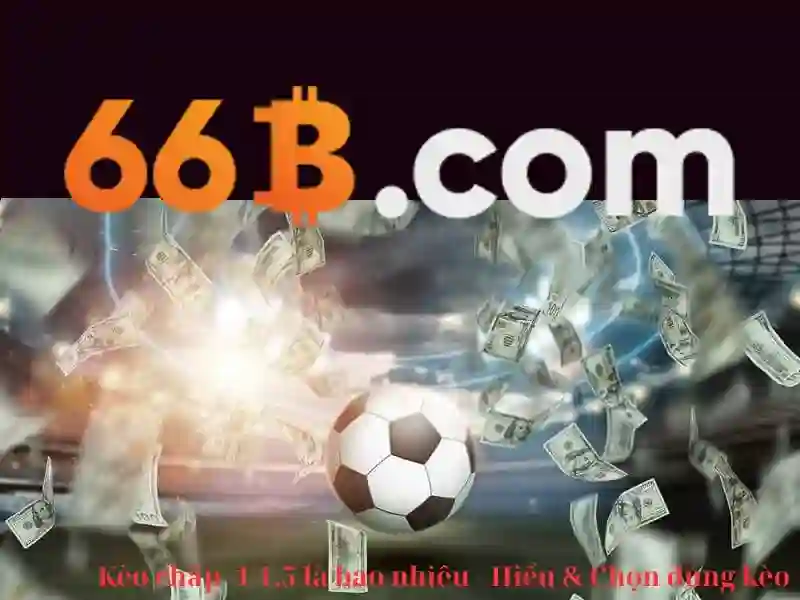 66b: khái niệm, cấu trúc và vai trò